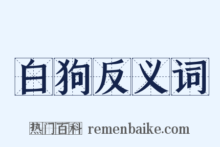 白狗反义词是什么意思的图片